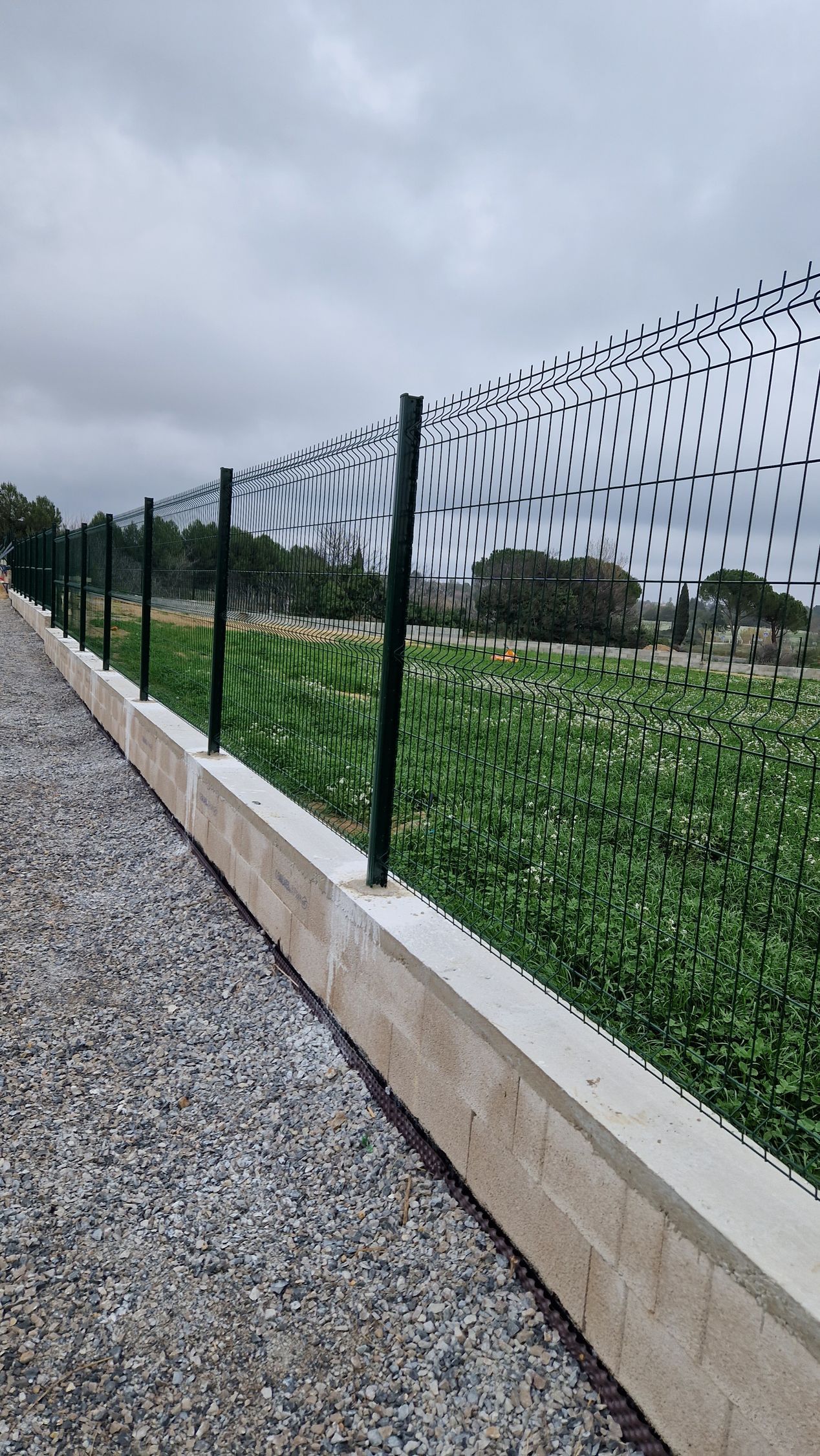 Grillage rigide sur un mur en pierre