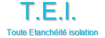 Logo TEI