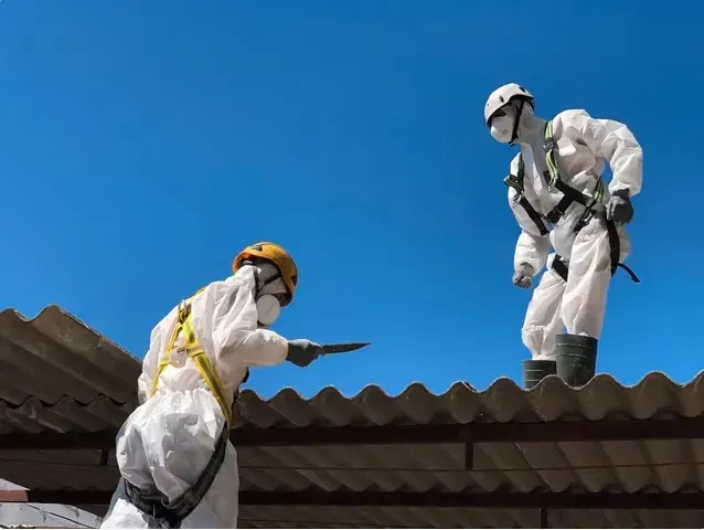 Dos trabajadores con equipo de seguridad reparando un techo de chapa ondulada bajo un cielo azul