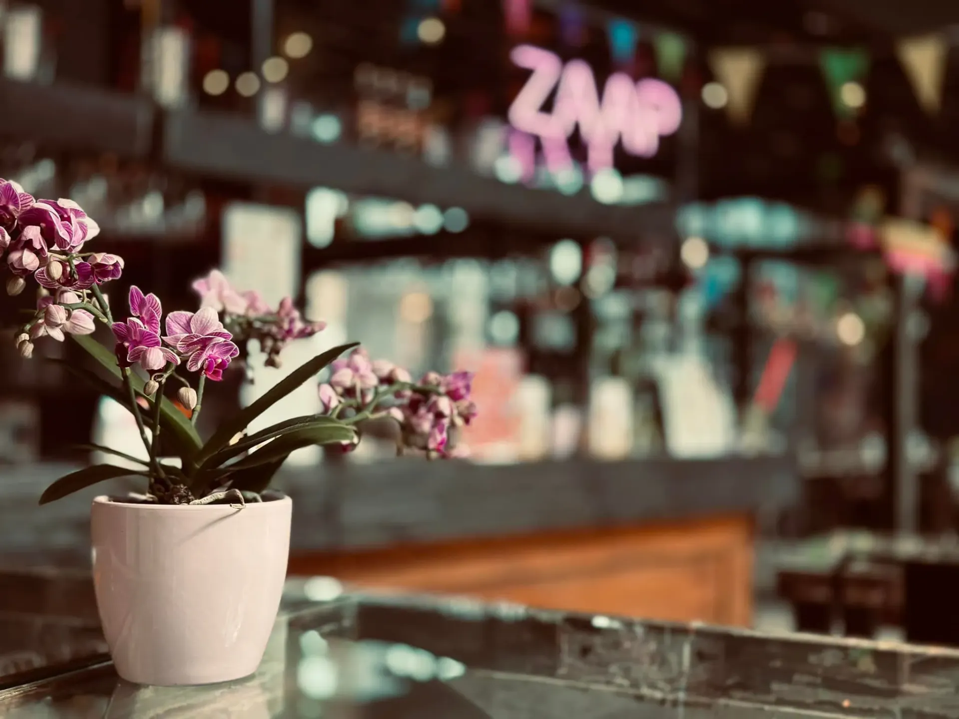 KNK thai food masters Oy