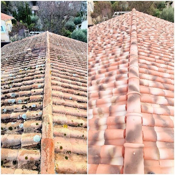 Démoussage de tuiles