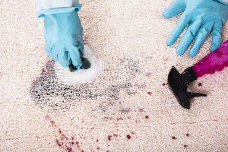 Mit behandschuhten Händen wird mithilfe eines Staubsaugeraufsatzes ein dunkler Fleck auf einem hellen Teppich entfernt.
