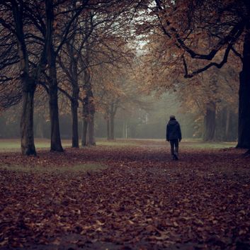 Homme dans la forêt - Nicole Capt