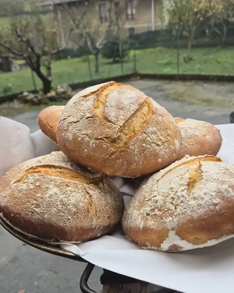 Cesta de panes redondos y crujientes, espolvoreados con harina, colocados al aire libre.