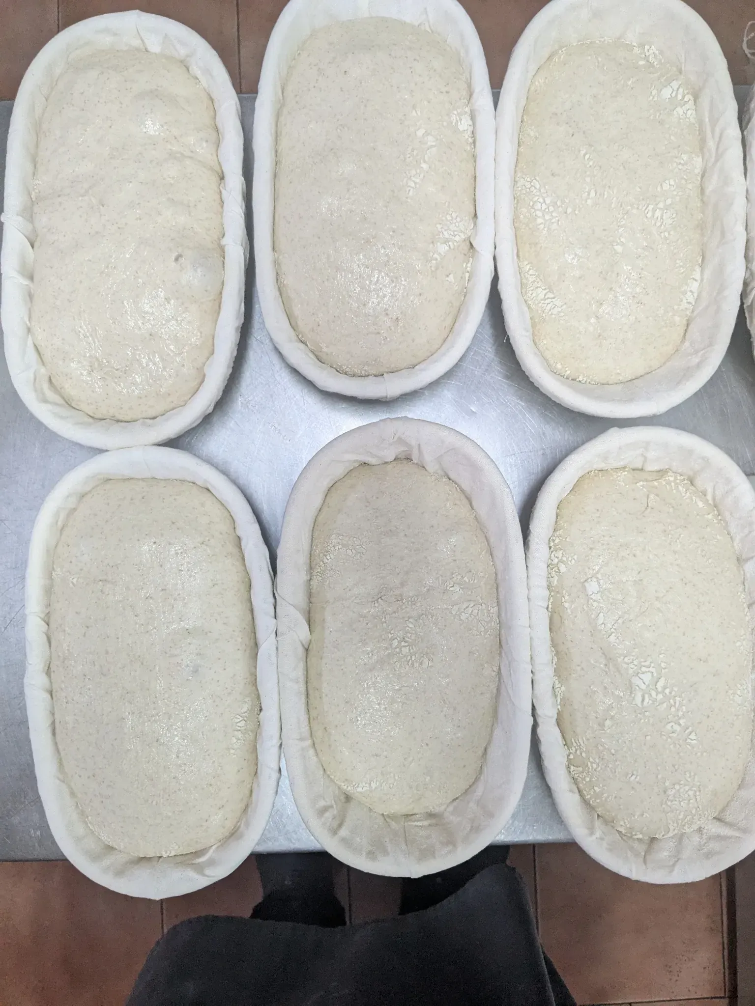 Seis panes ovalados de masa de pan en cestas de fermentación, listos para hornear.