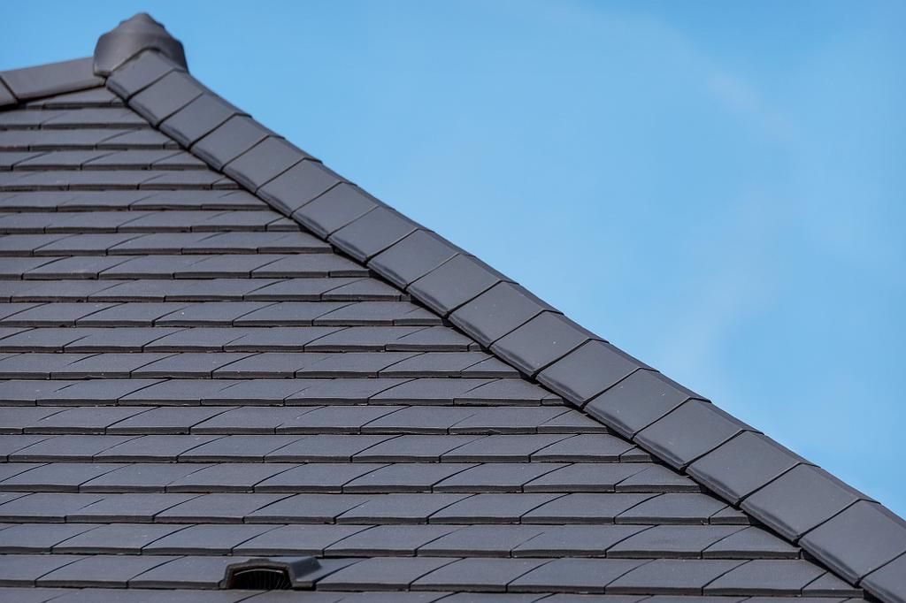 Toiture noire