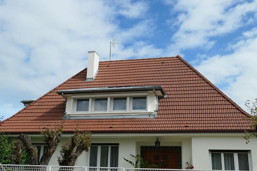 Couverture sur chiens-assis