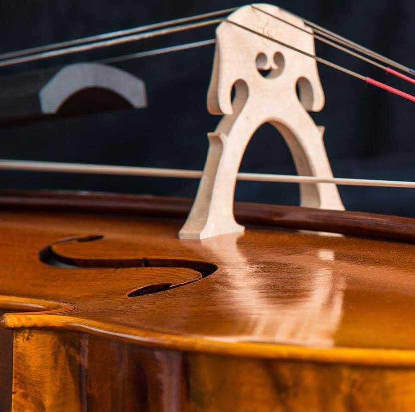 Sonderanfertigungen Geigenbau