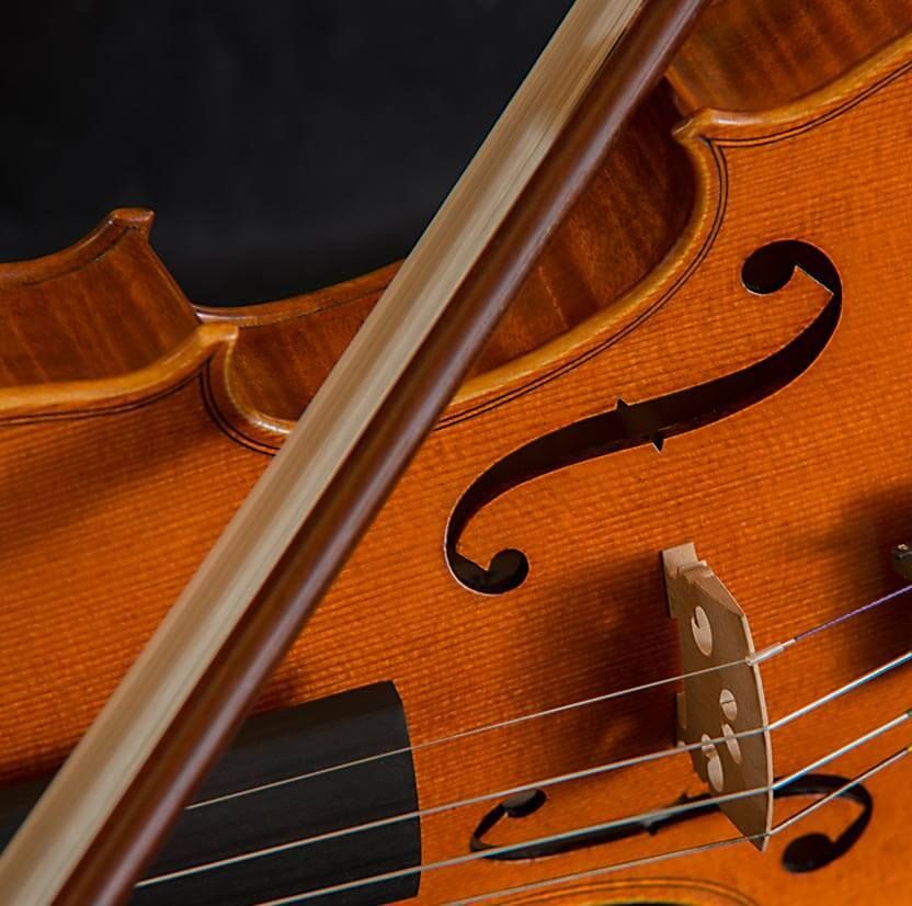 Viola