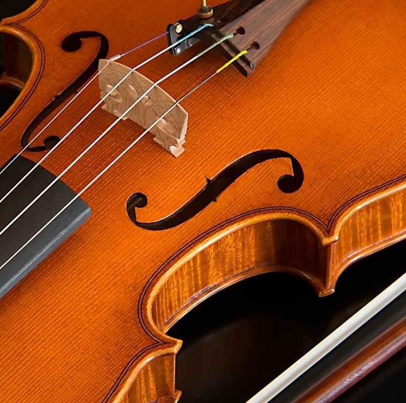 Viola