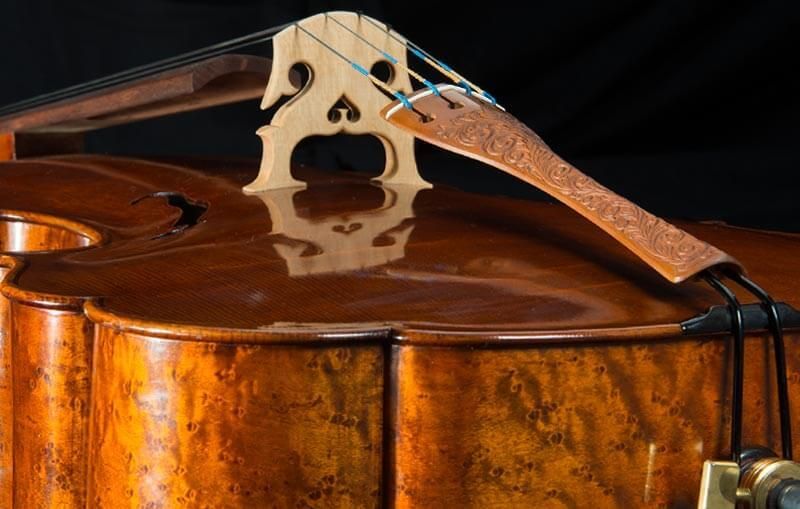 Sonderanfertigung Streichinstrument