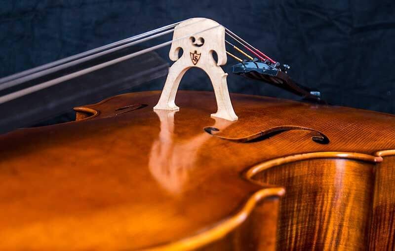 Sonderanfertigung Streichinstrument