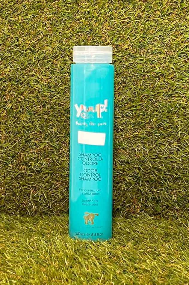 Botella alta de color turquesa sobre la hierba, con un fondo verde.