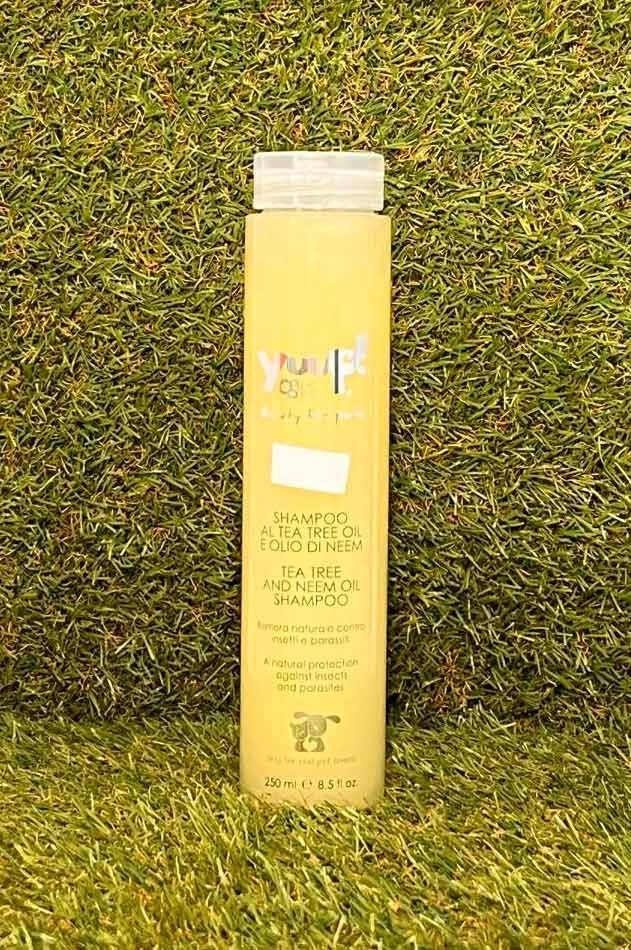 Botella alta de color amarillo con tapón blanco, colocada sobre hierba verde.