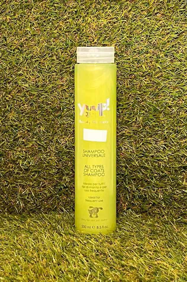 Botella amarilla alta sobre fondo de césped verde