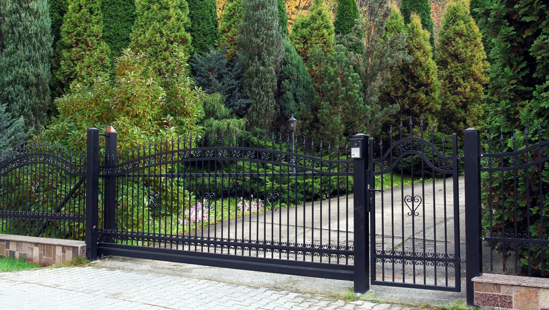 Portail électrique noir