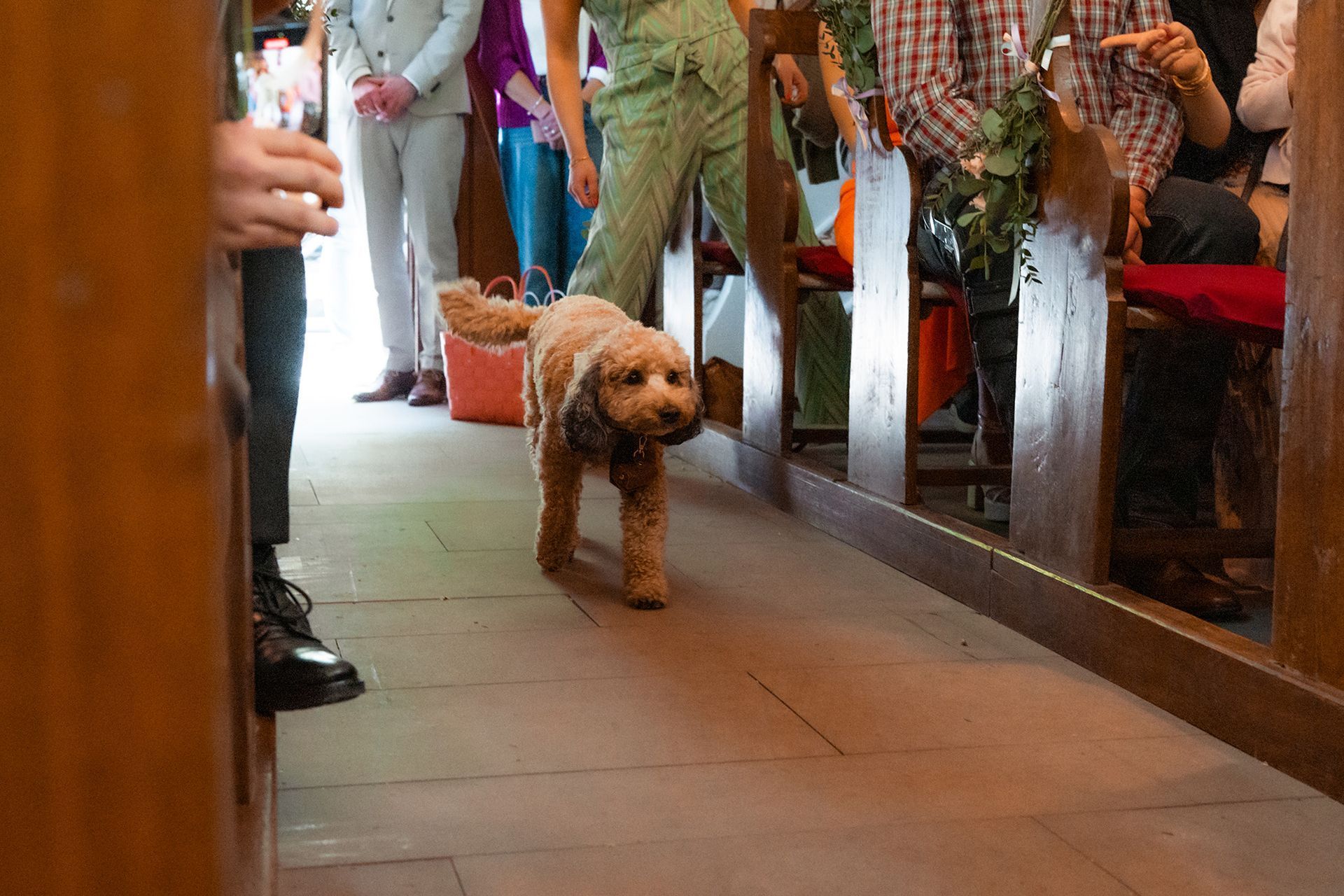Hund als süßer Hochzeitsgast bei der Trauung in Dortmund