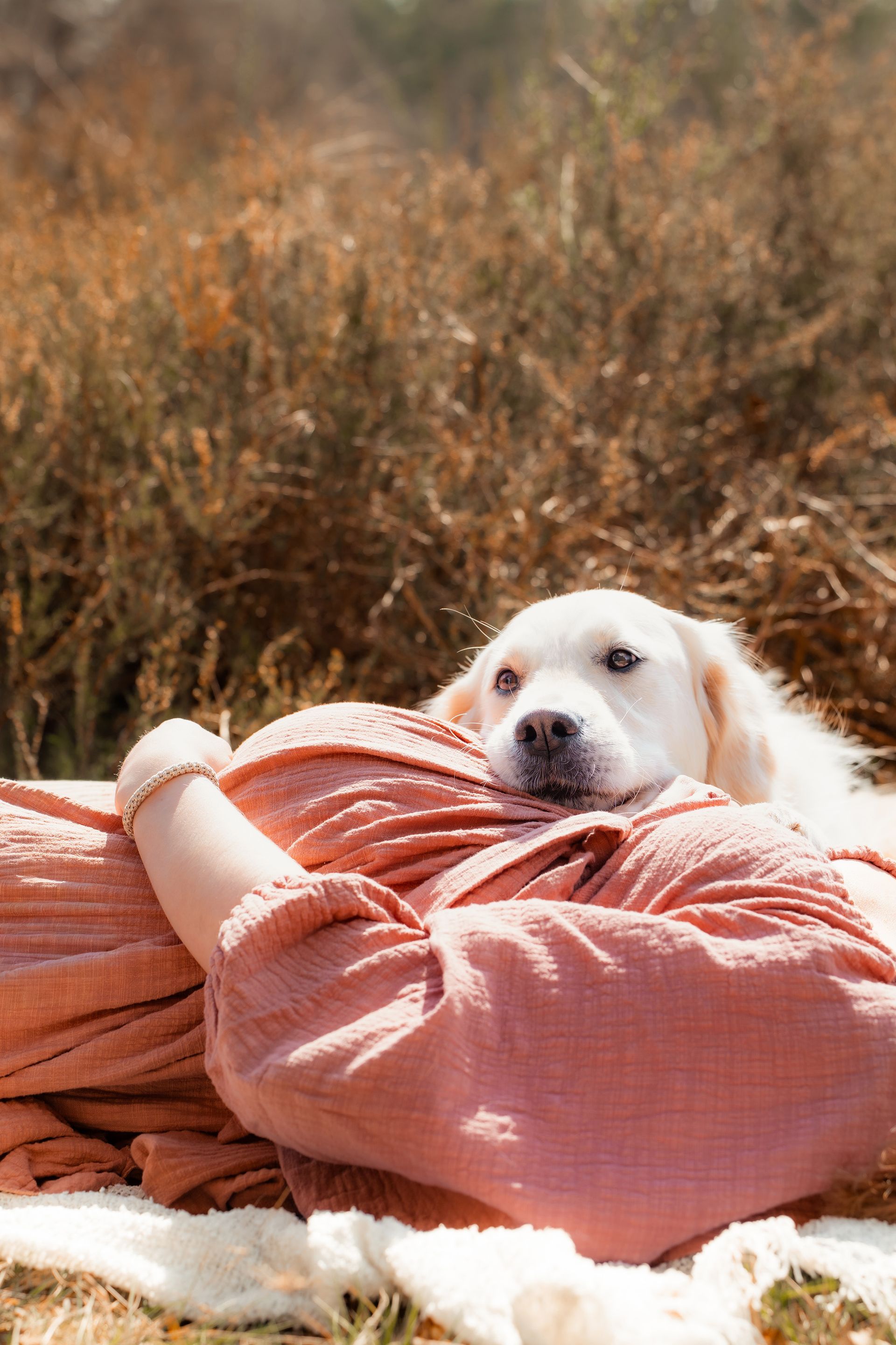 Zärtlicher Kuss eines verliebten Paares bei Paarshooting in der Wahner Heide Troisdorf