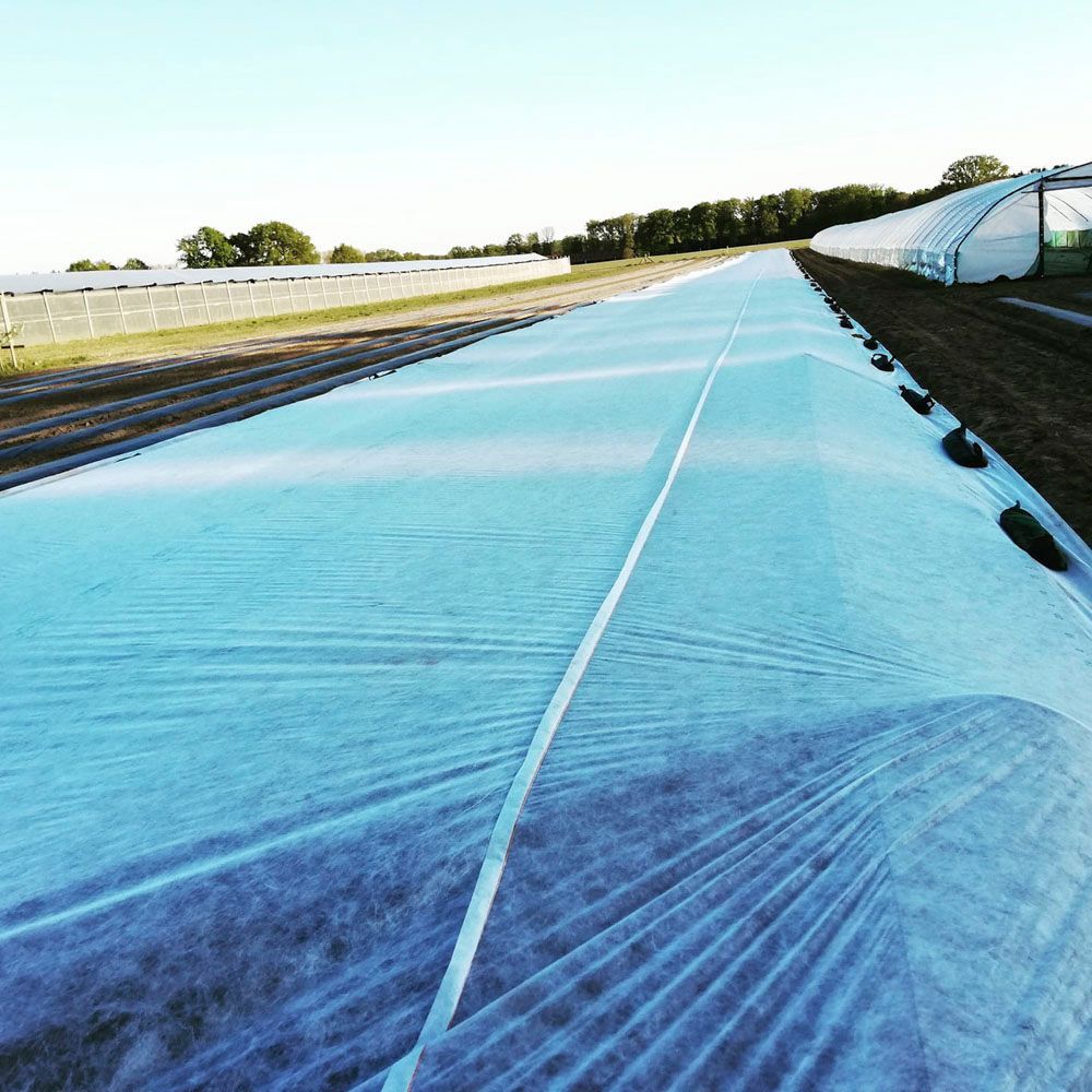 Obsthof Alvermann | Einblick