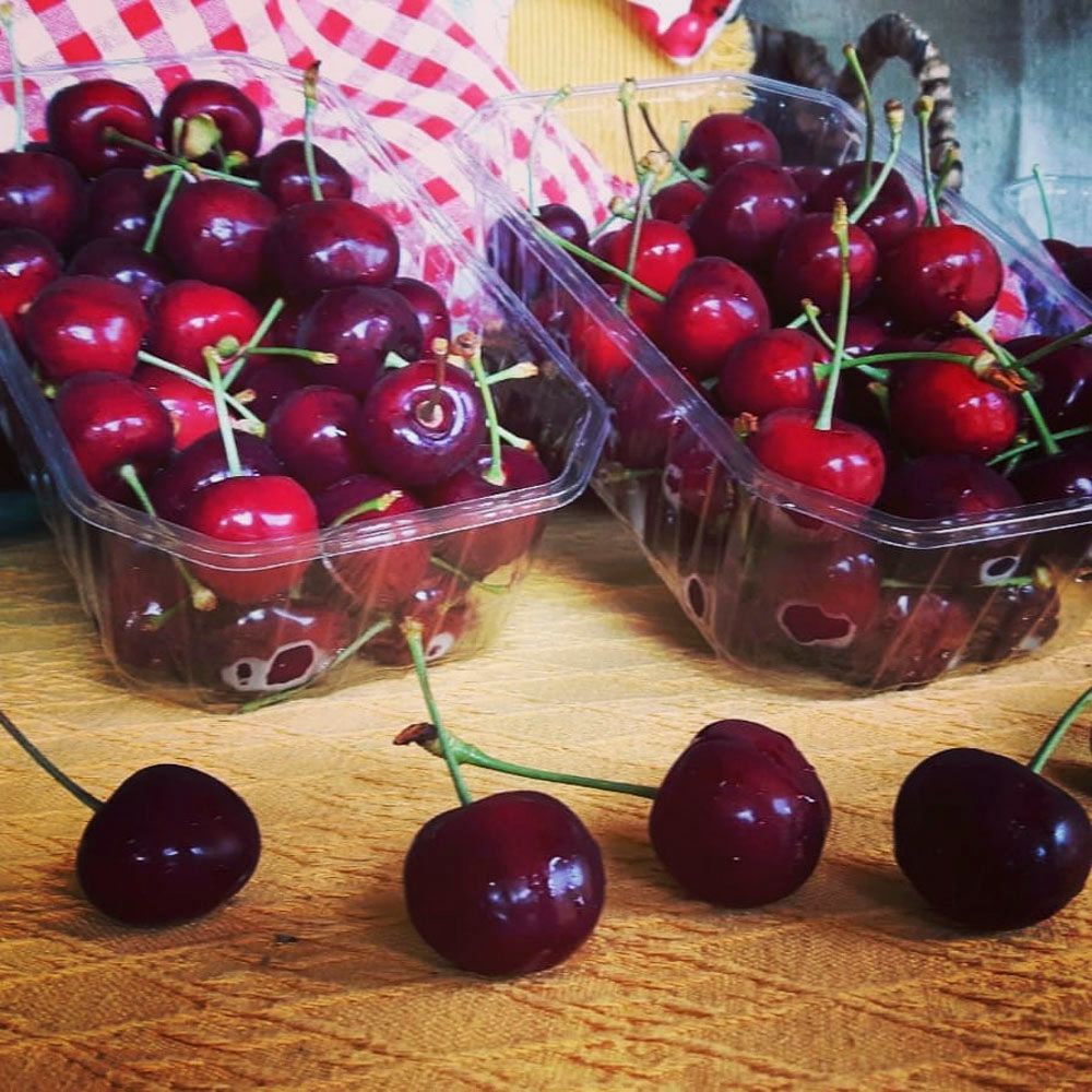 Obsthof Alvermann | Einblick