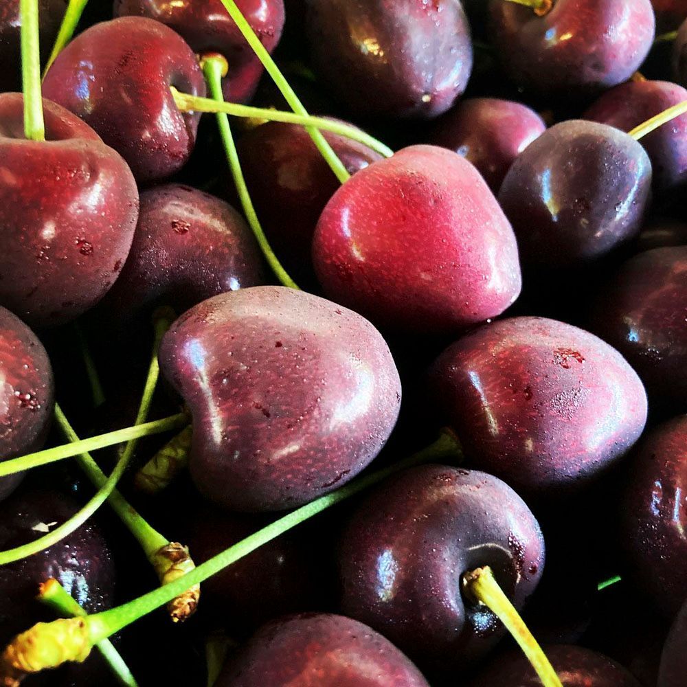 Obsthof Alvermann | Einblick