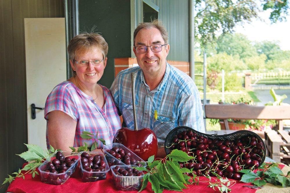 Obsthof Alvermann | Einblick