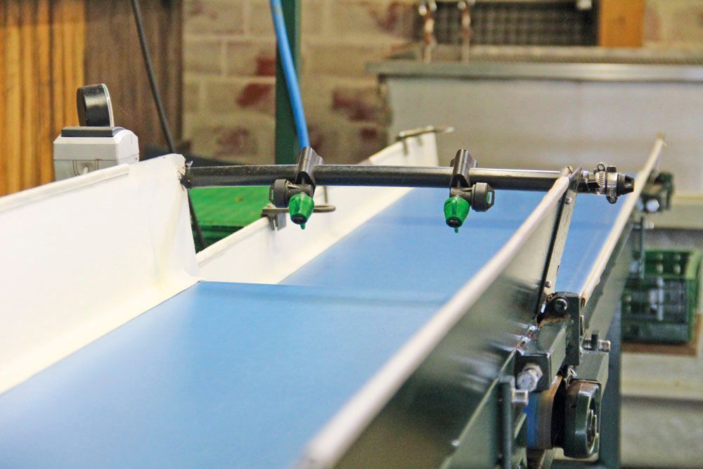 Obsthof Alvermann | Einblick