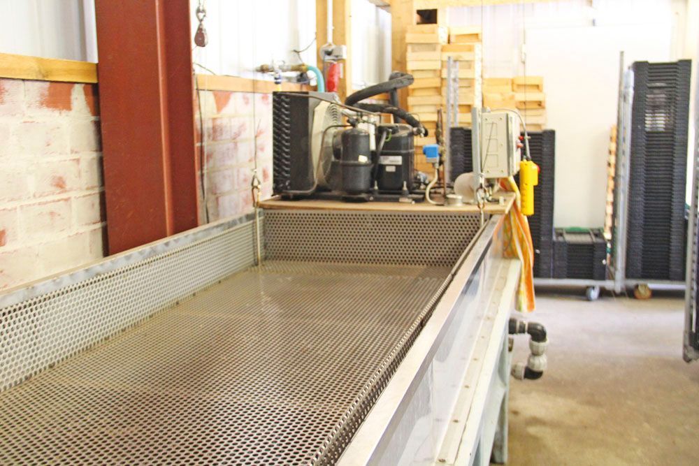 Obsthof Alvermann | Einblick