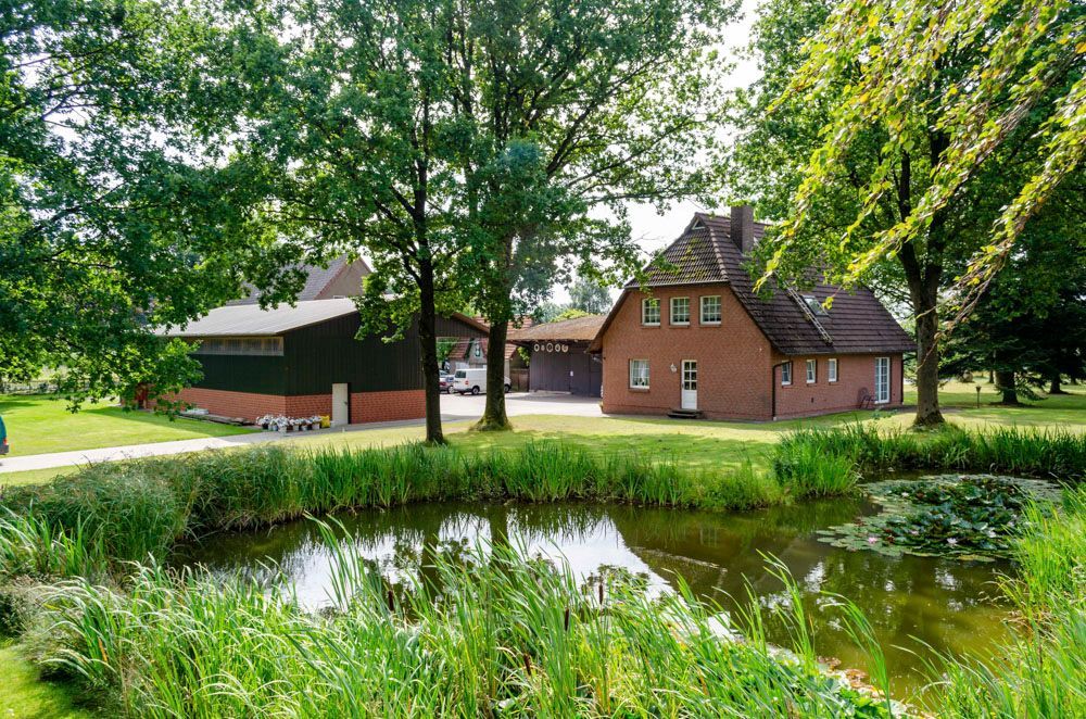 Obsthof Alvermann | Einblick