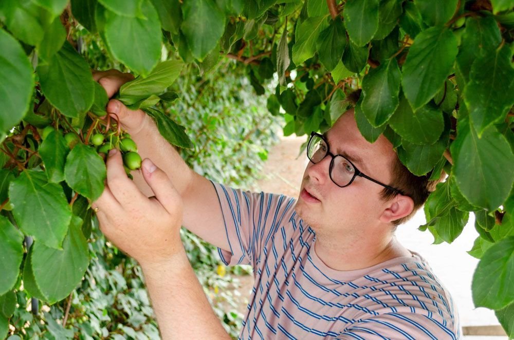 Obsthof Alvermann | Einblick