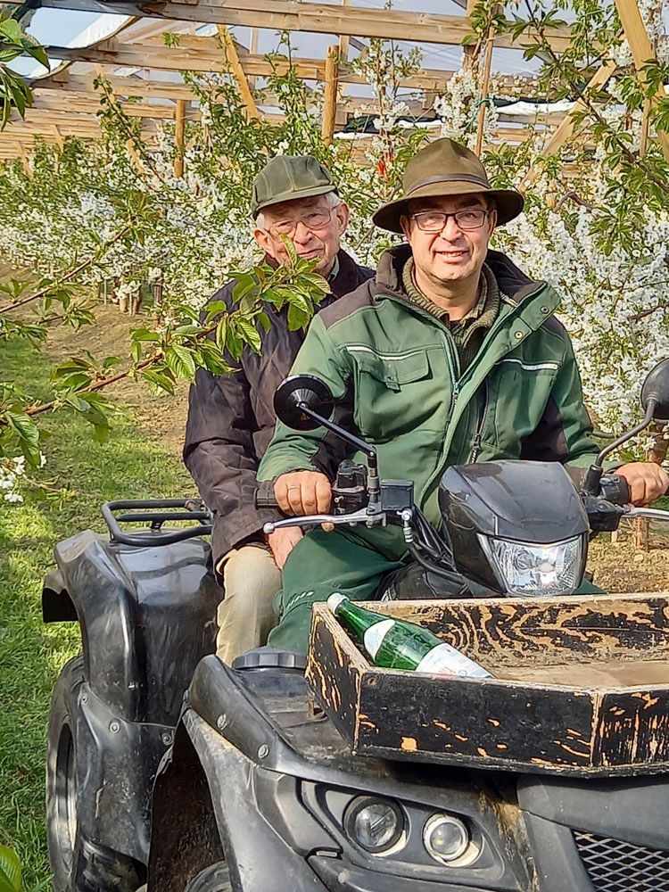 Obsthof Alvermann | Einblick