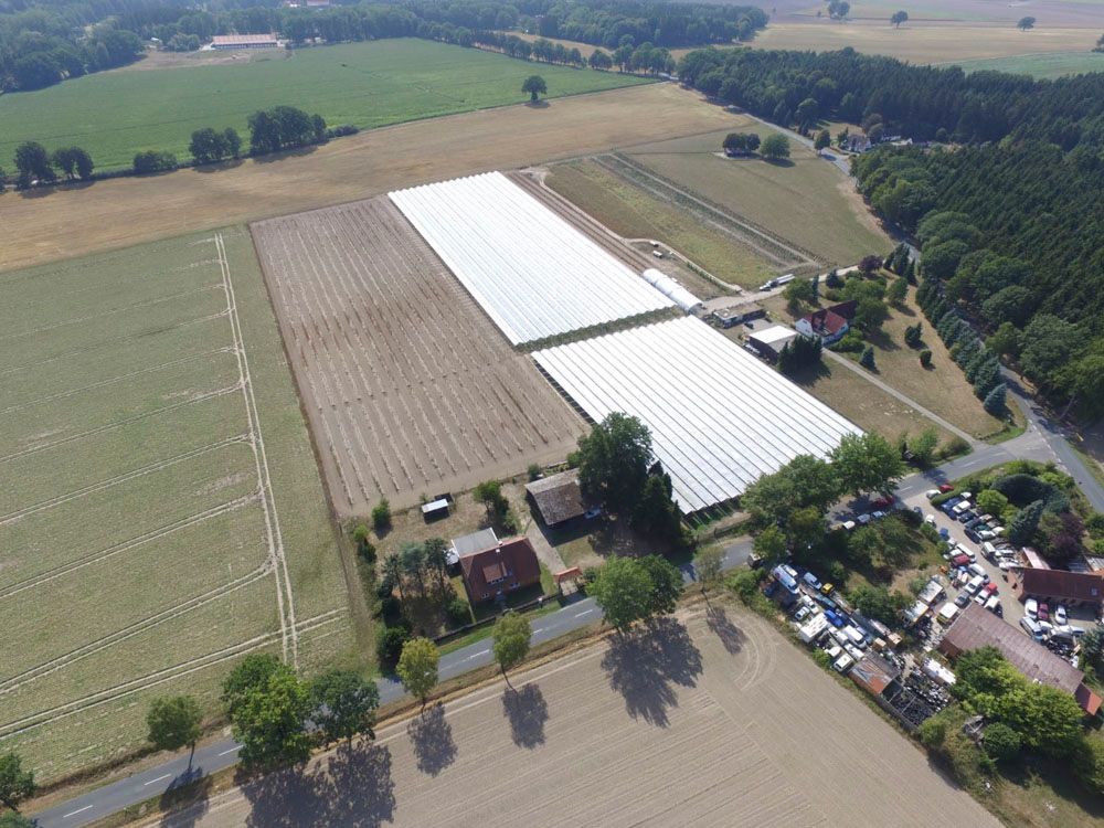 Obsthof Alvermann | Einblick