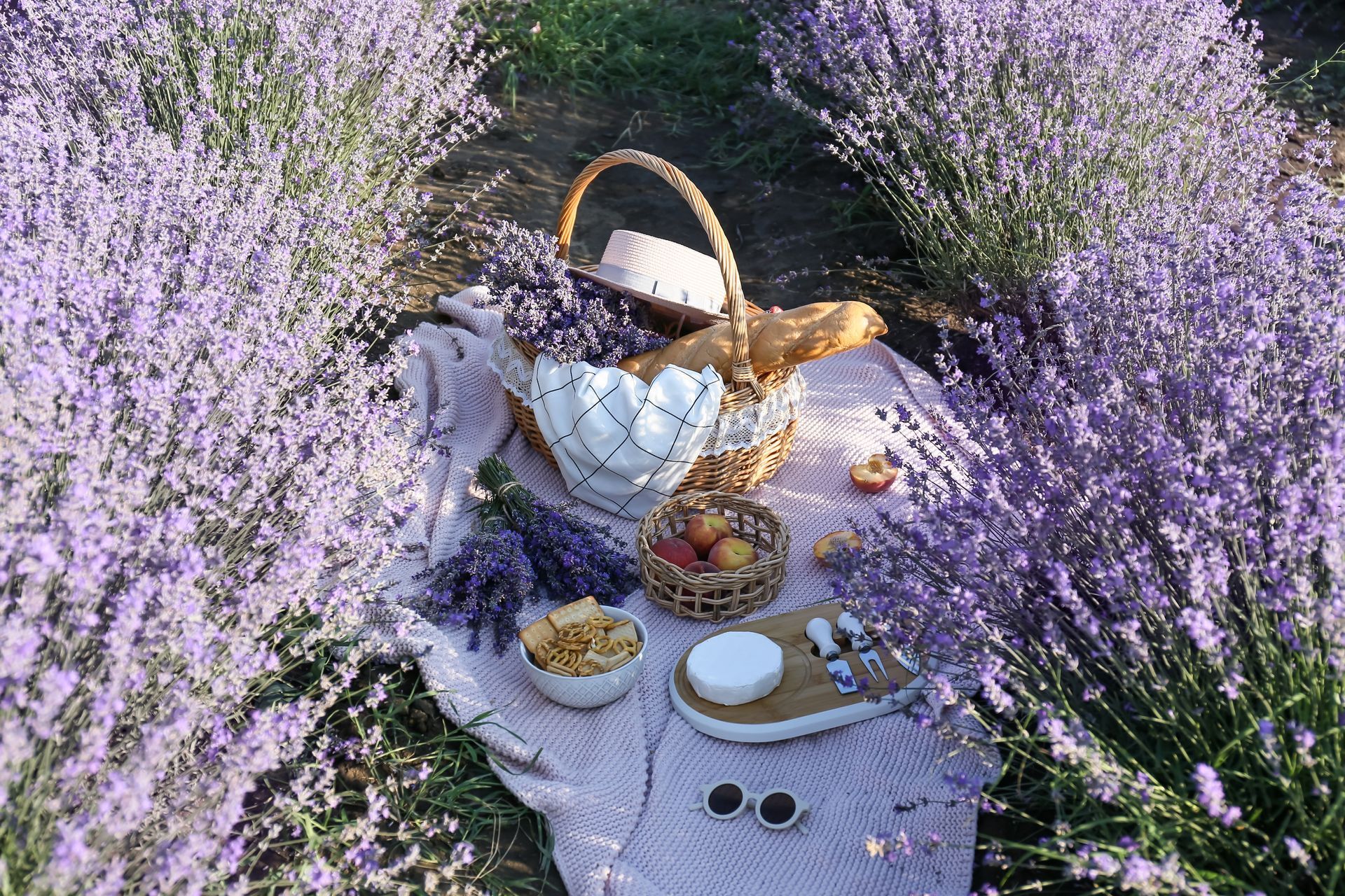 Mitten in einem Lavendelfeld liegt eine Picknickdecke.