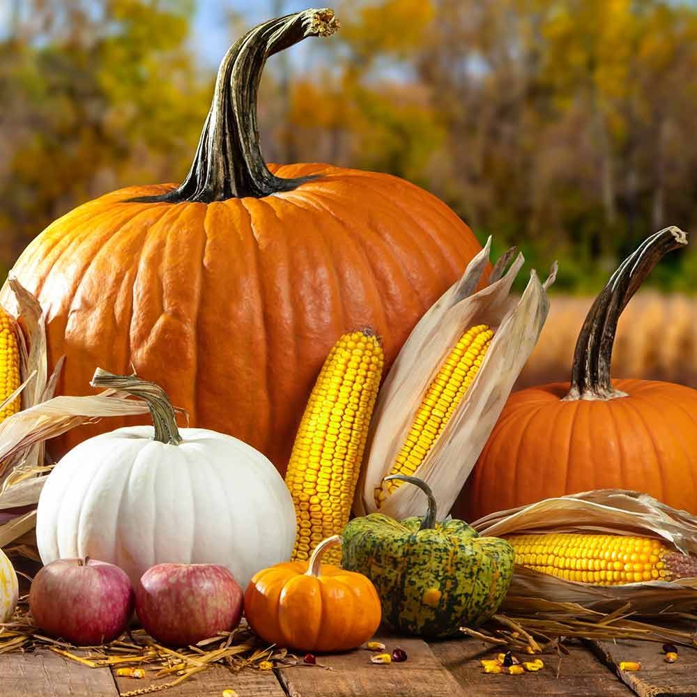 Ein Holztisch mit Kürbissen, Mais und Äpfeln