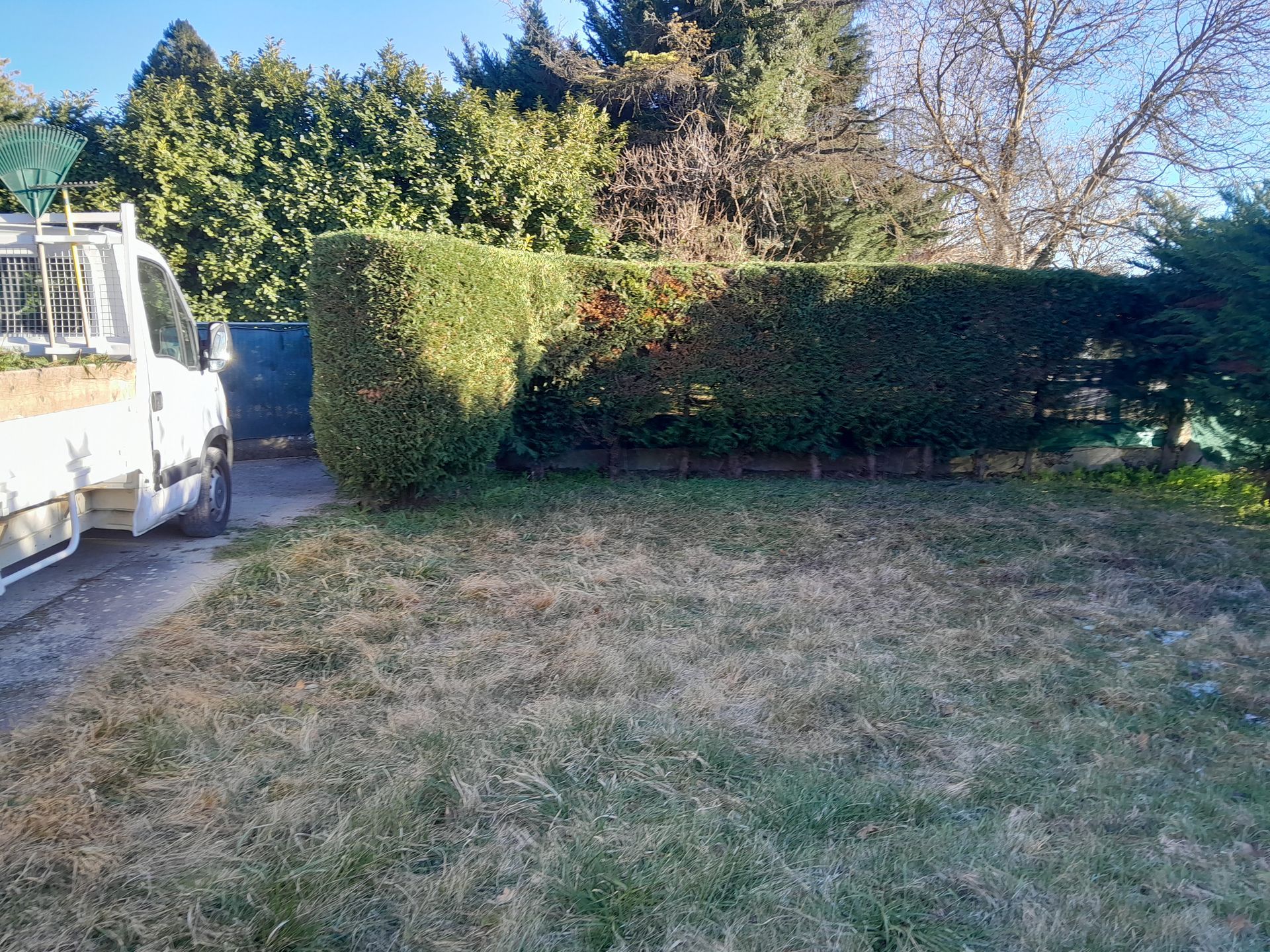 Une camionnette blanche à côté d'une haie verte soigneusement taillée devant une pelouse à l'herbe brune.