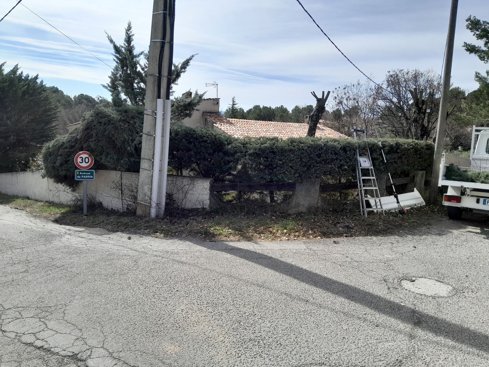 Taille de haie au bord d'une route, échelle en cours d'utilisation, petite maison visible, ciel bleu, lignes électriques au-dessus.