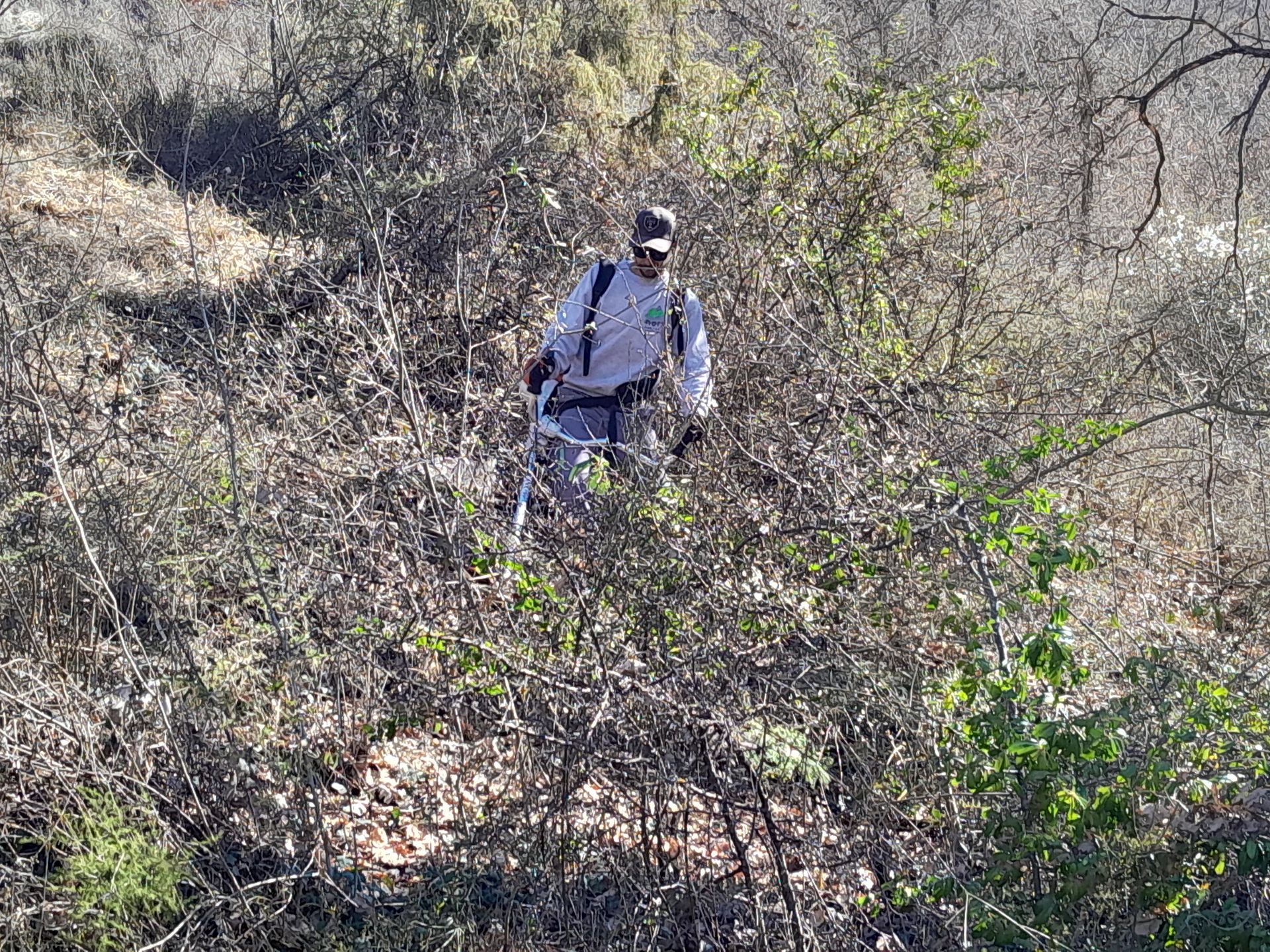 Un homme en vêtements légers marchant dans des broussailles denses dans un environnement extérieur sec.