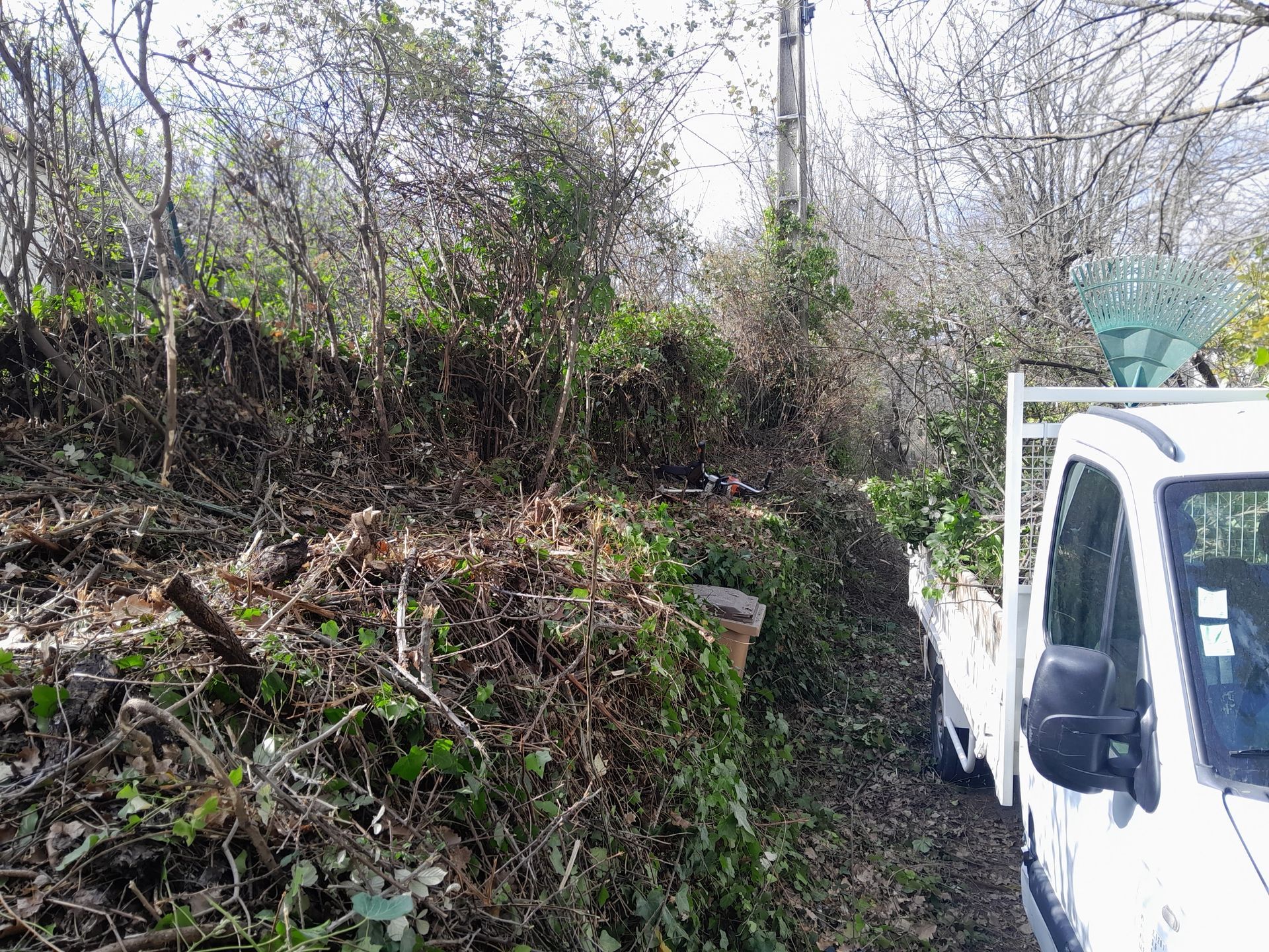 Camion garé près de buissons envahis et de branches coupées sur une colline.
