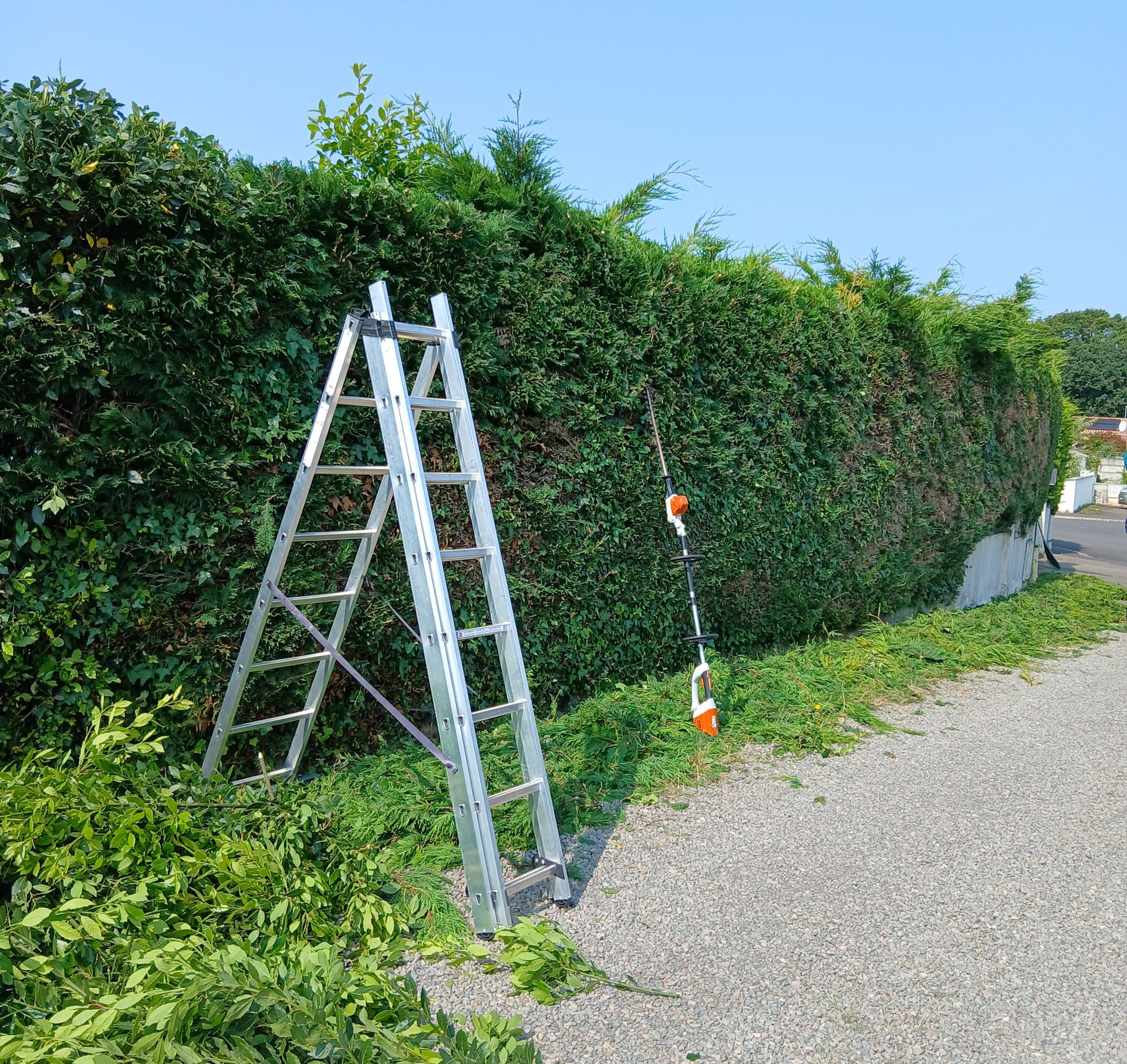 Échelle à côté d'une haie taillée avec un sécateur électrique sur un chemin de gravier, journée ensoleillée.