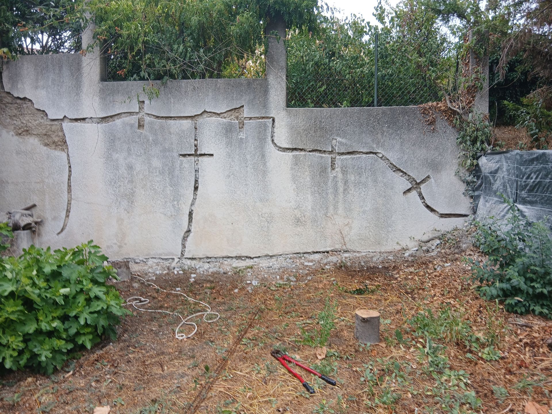 Mur de béton fissuré avec de grandes fractures, dans un jardin sec et envahi par la végétation.