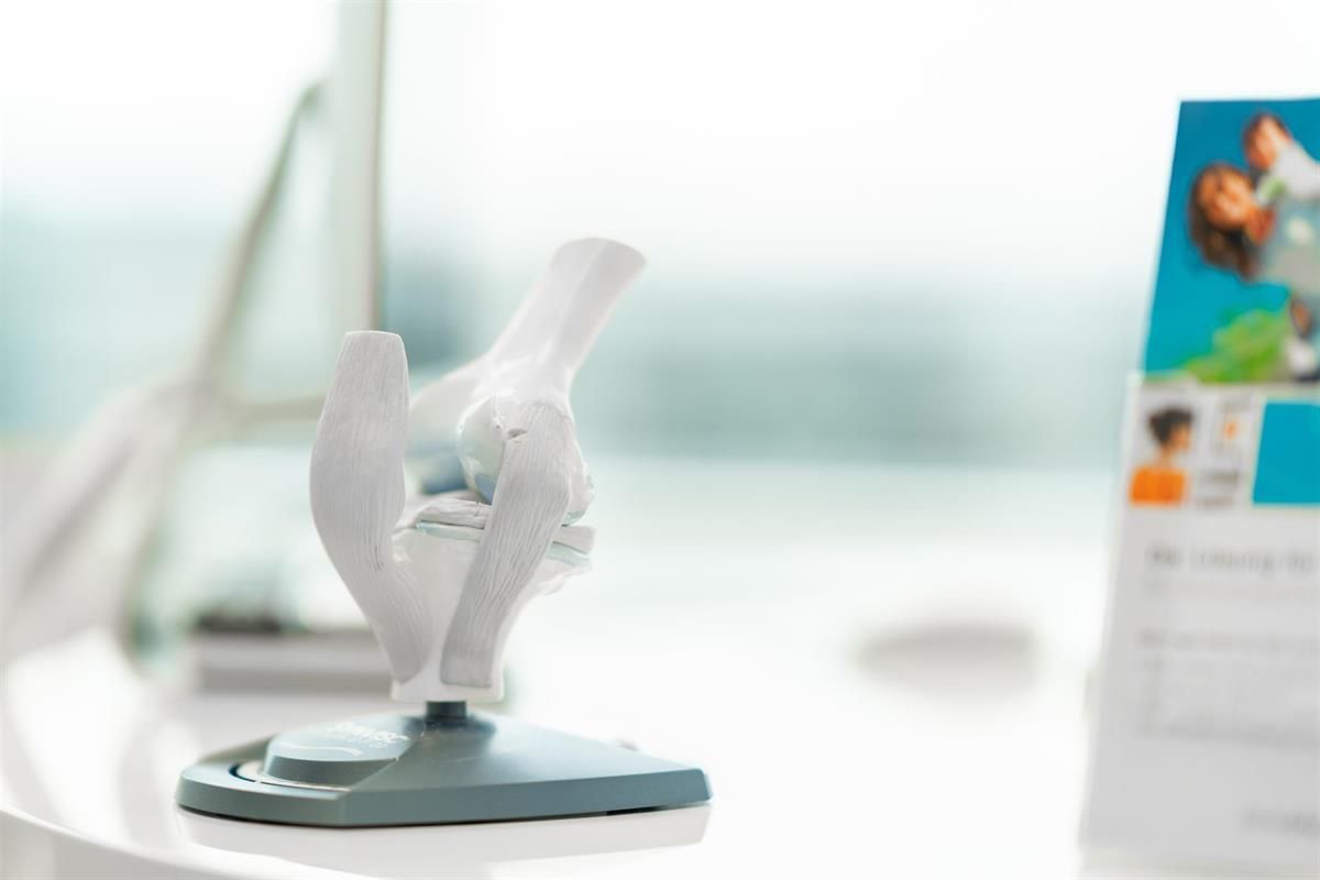 Auf einem Tisch steht ein Modell eines Kniegelenks.