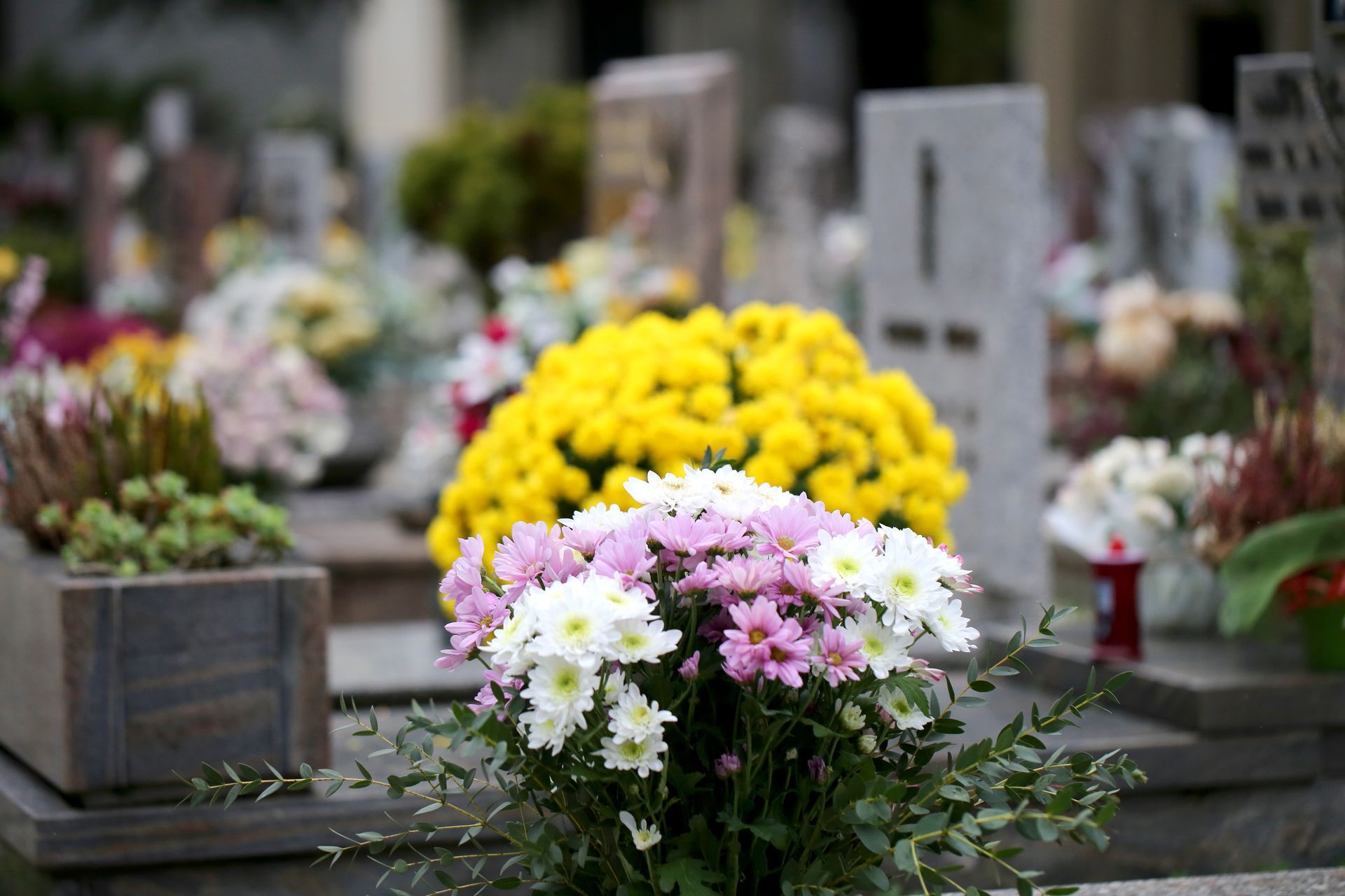 Bouquets de fleurs disposés dans un cimetière