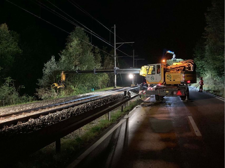 Baumschnitt am Gleise