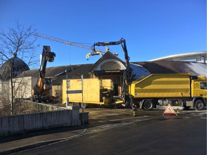 Baumschnitt in Siedlung