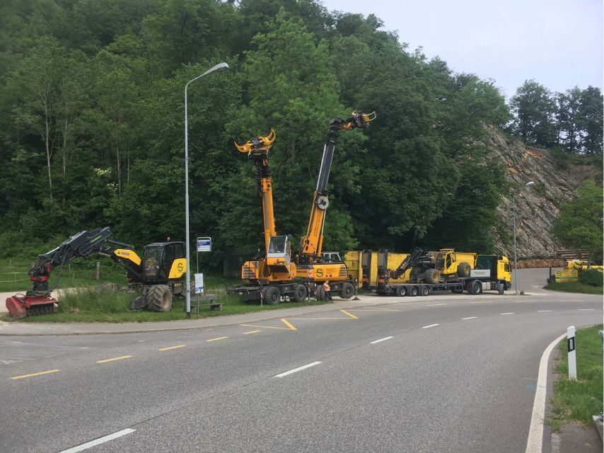 Gebrüder Straumann AG schneidet Bäume
