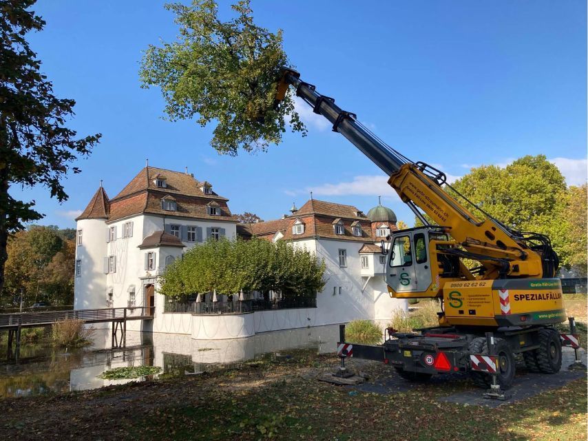  Baum wird entfernt