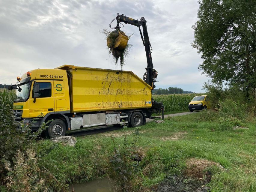 Entfernung von Sträuchern