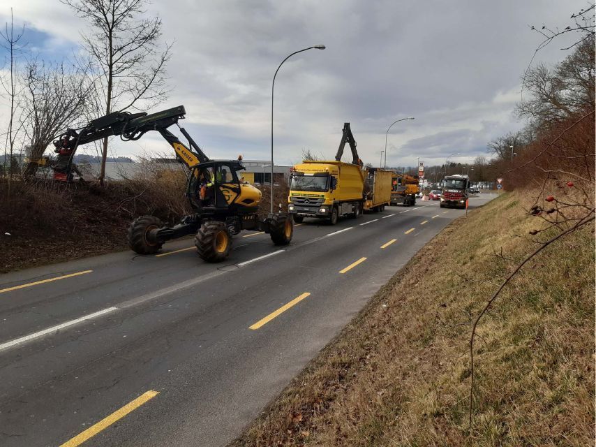 Baumwuchs an Strasse wird entfernt