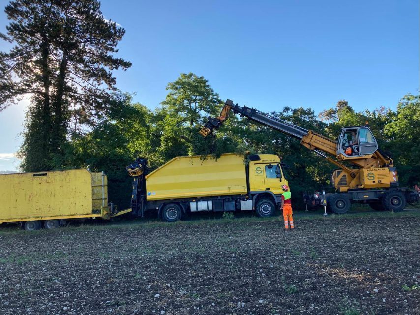 Gebrüder Straumann AG entfernt Baumwuchs