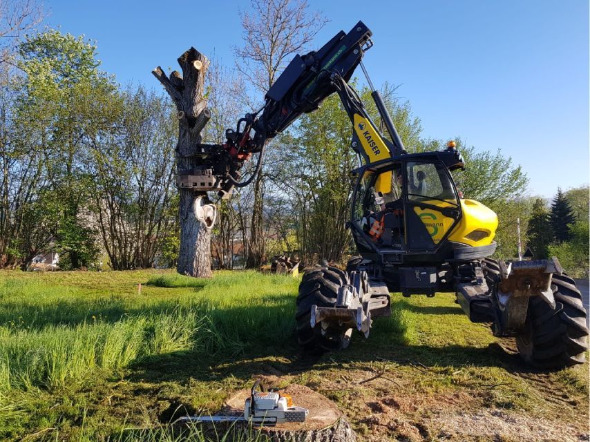 Gebrüder Straumann AG entfernt einen Baum